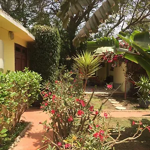 Beaux à Dakar